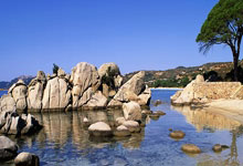 中国石油设备管理岗,中国石化设备管理岗